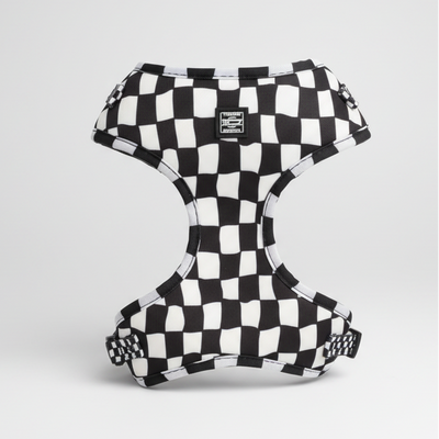 110 RACING // PERFORMANCE PADDED DOG HARNESS