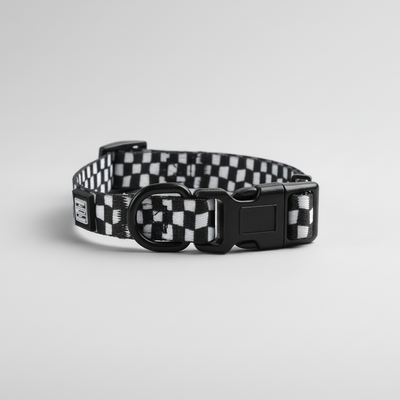 110 RACING // PERFORMANCE CHECKER DOG COLLAR